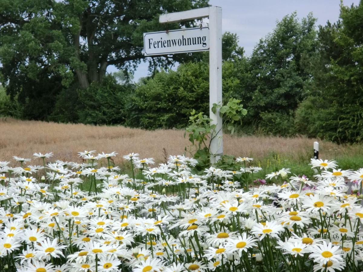 Ferienwohnung Am Sophienberg Wensin Esterno foto